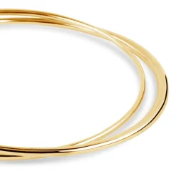 Dinny Hall Signature Double Bangle