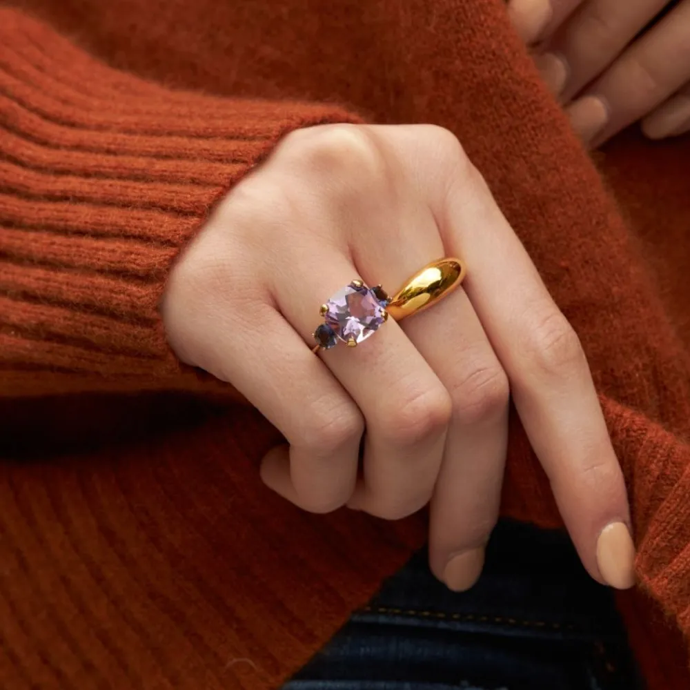 Dinny Hall Teresa 22K Yellow Gold Vermeil Pale Amethyst & Iolite Ring